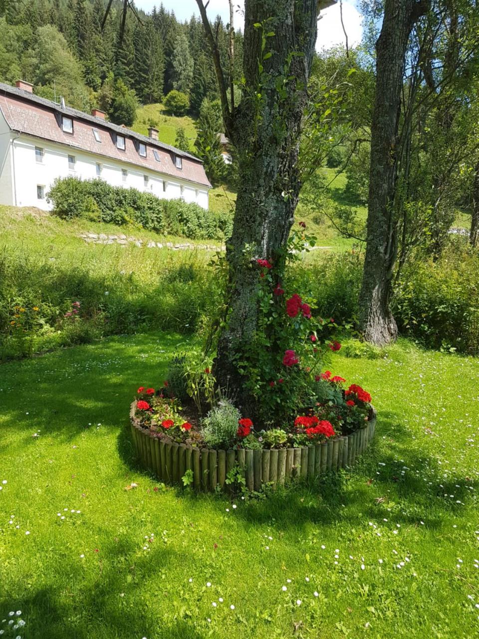 Riverside Ski Apartment Ramingstein Eksteriør billede