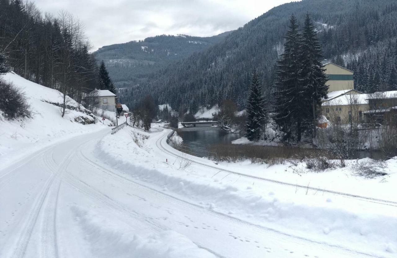 Riverside Ski Apartment Ramingstein Eksteriør billede