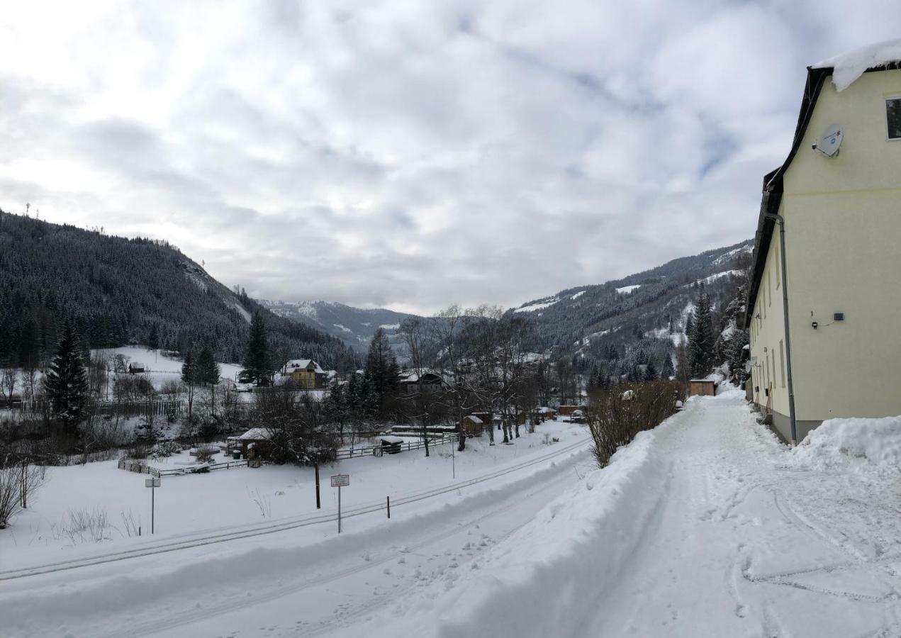 Riverside Ski Apartment Ramingstein Eksteriør billede